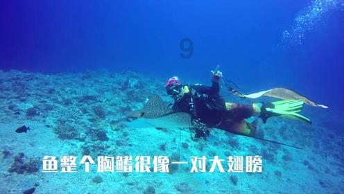 想要考驾照。考之前需要学习什么游戏画面